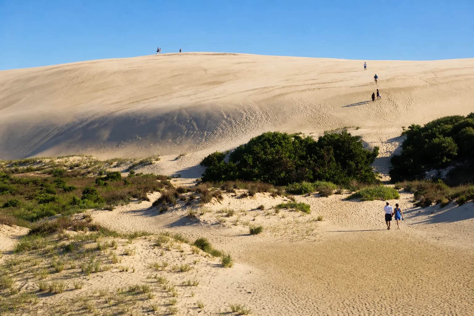 Jockey's Ridge, Nags Head, North Carolina
