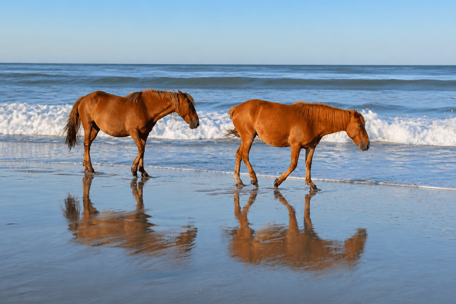 Carova, Corolla, North Carolina