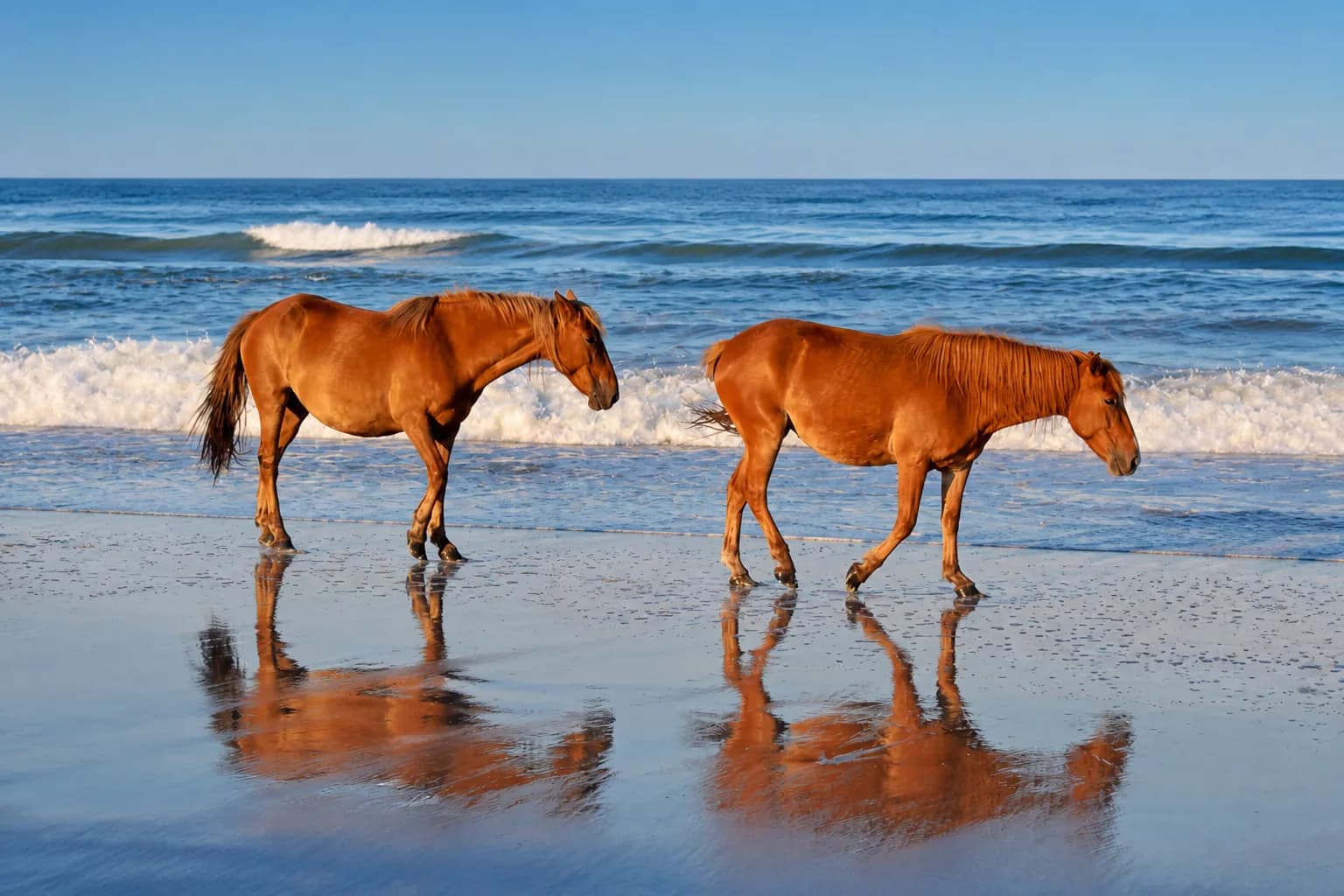 Carova, Corolla, North Carolina