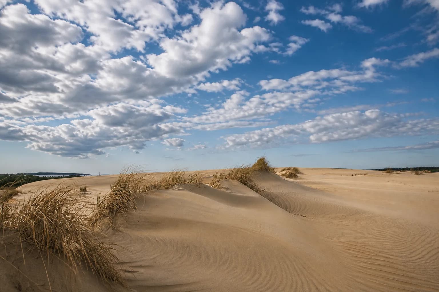 Jockey's Ridge, Nags Head, North Carolina