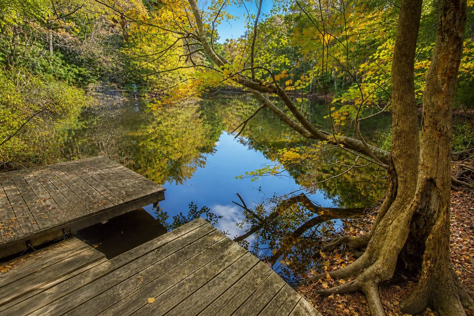Nags Head Woods, Nags Head, North Carolina