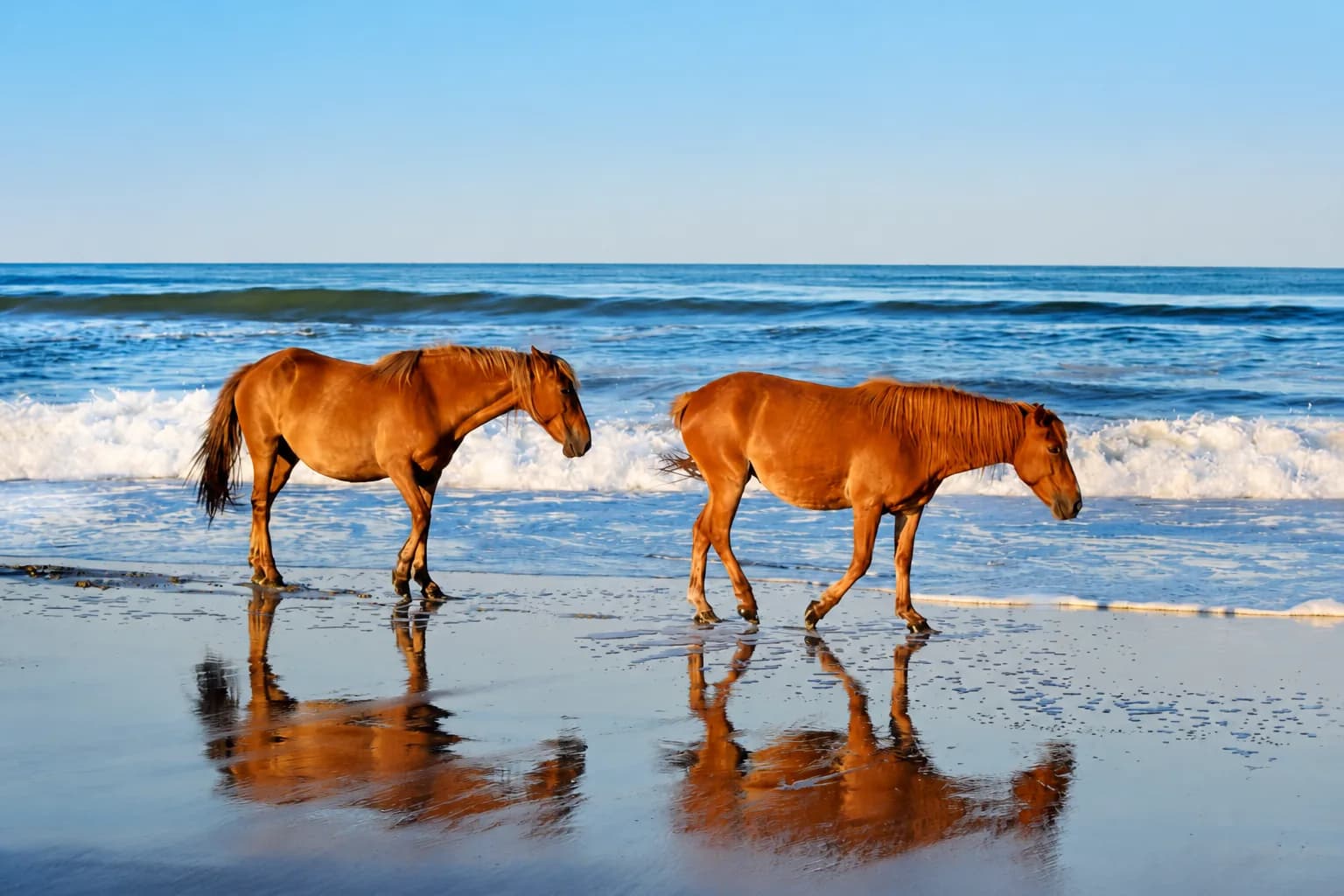 Carova, Corolla, North Carolina