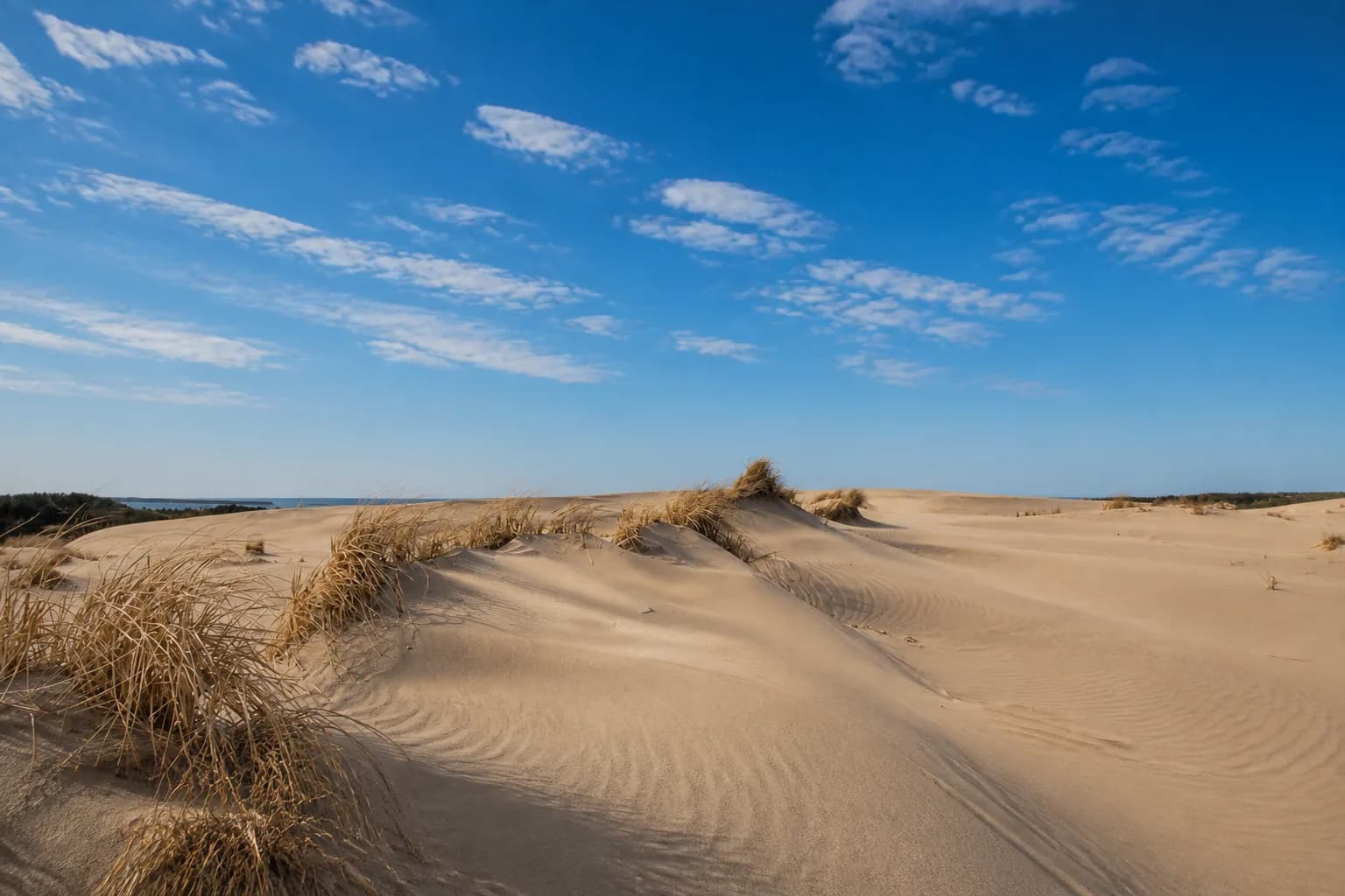 Jockey's Ridge, Nags Head, North Carolina