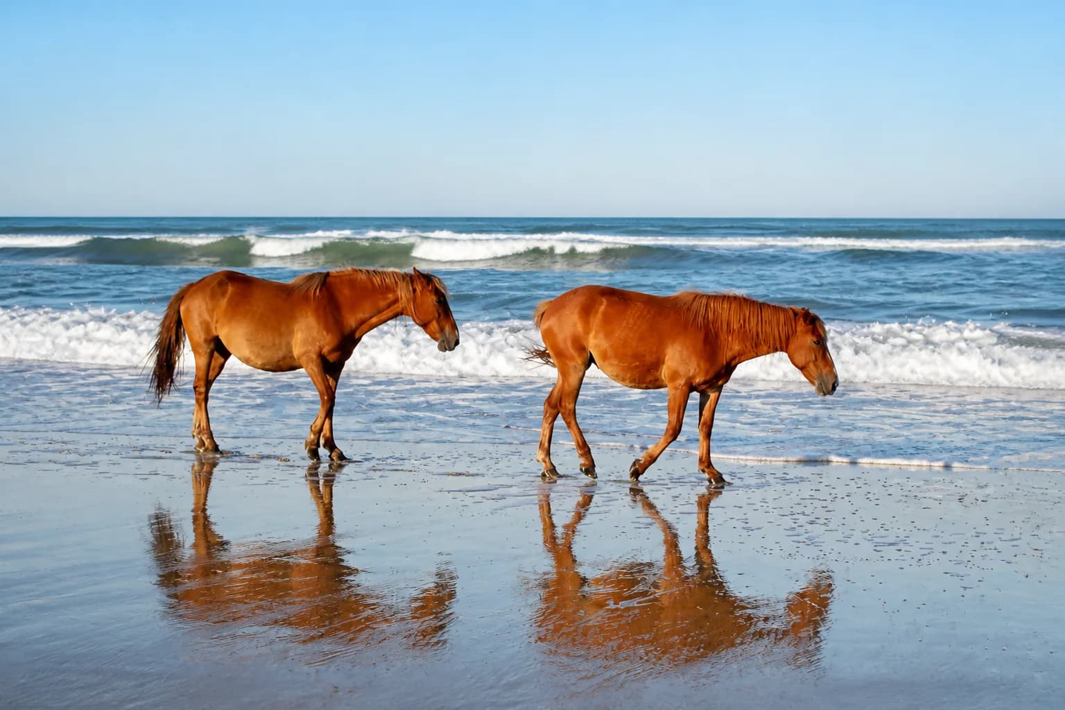 Carova, Corolla, North Carolina