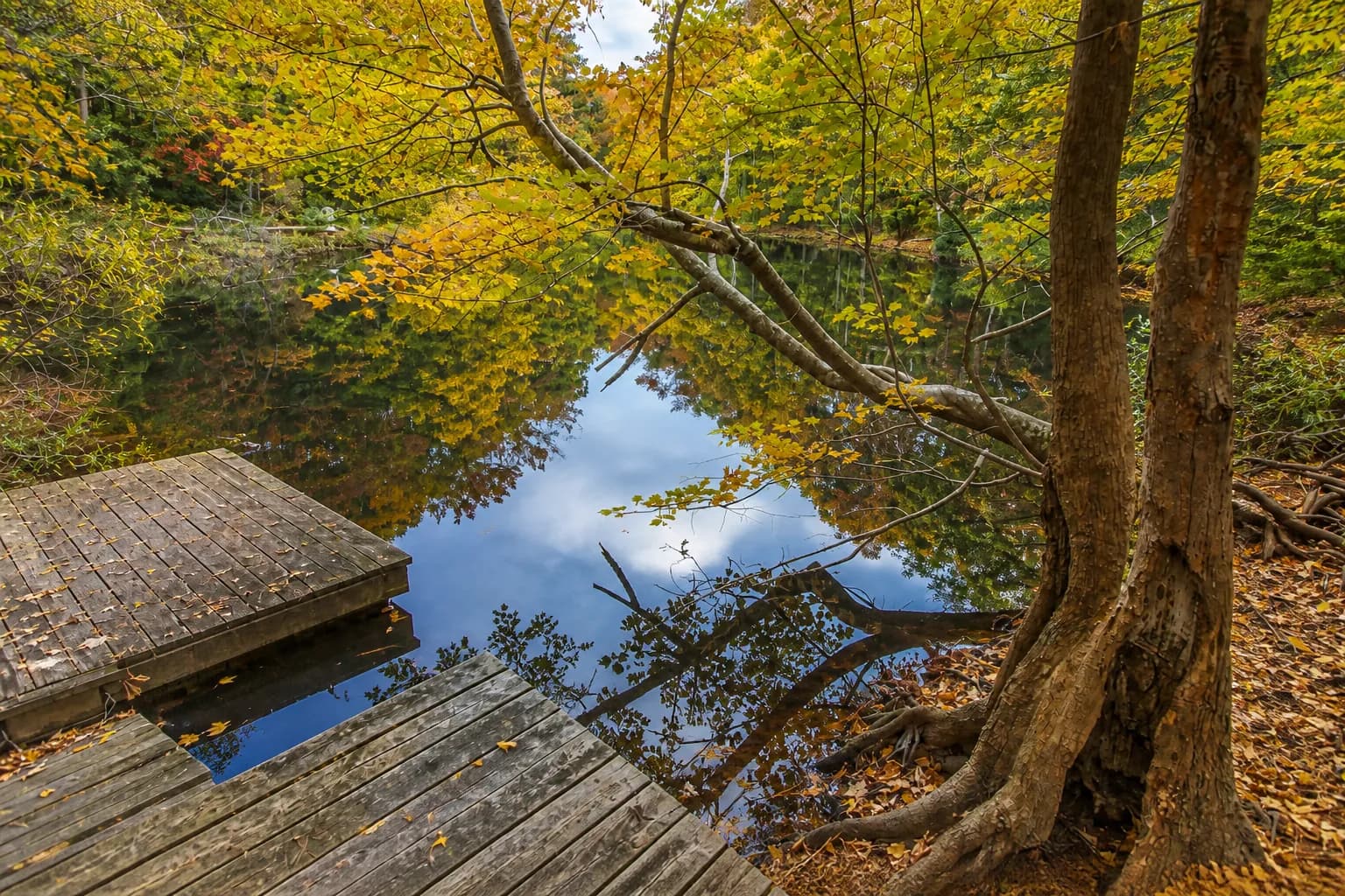 Nags Head Woods, Nags Head, North Carolina