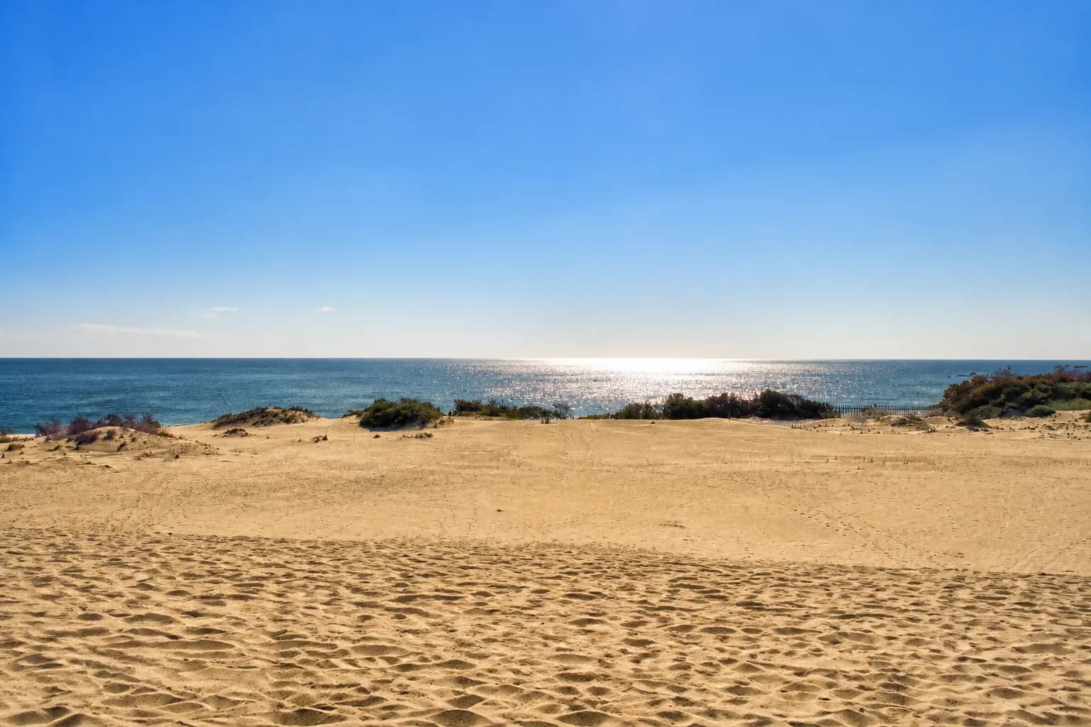 Jockey's Ridge, Nags Head, North Carolina