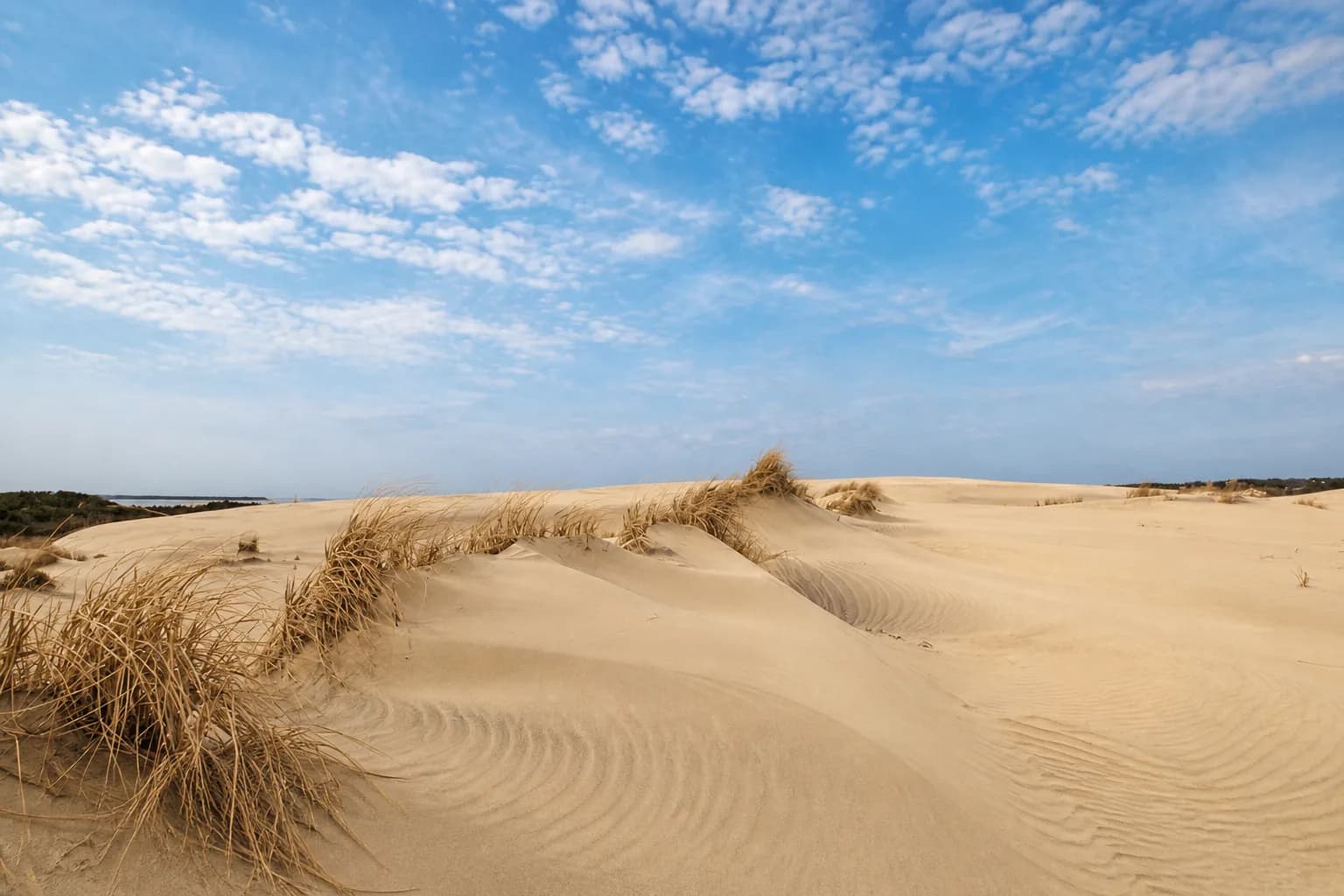Jockey's Ridge, Nags Head, North Carolina
