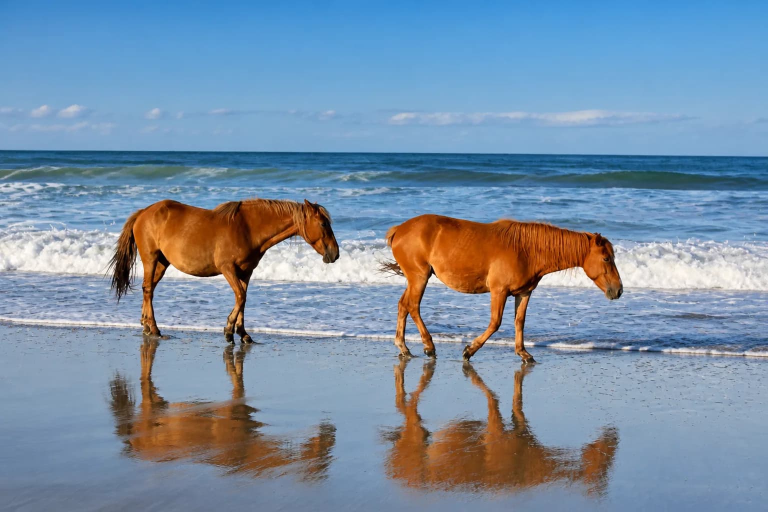 Carova Beach, Corolla, North Carolina