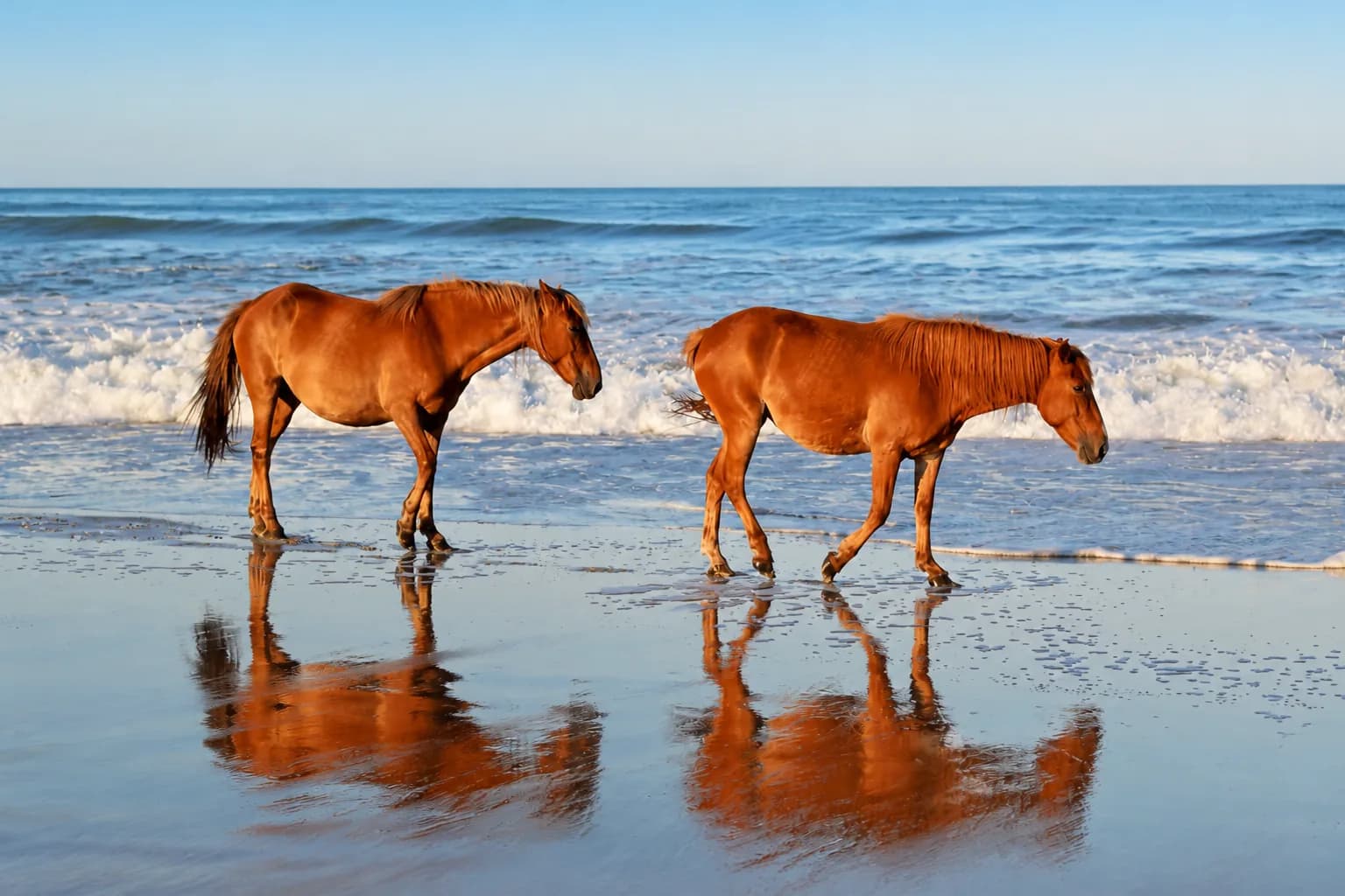Carova, Corolla, North Carolina