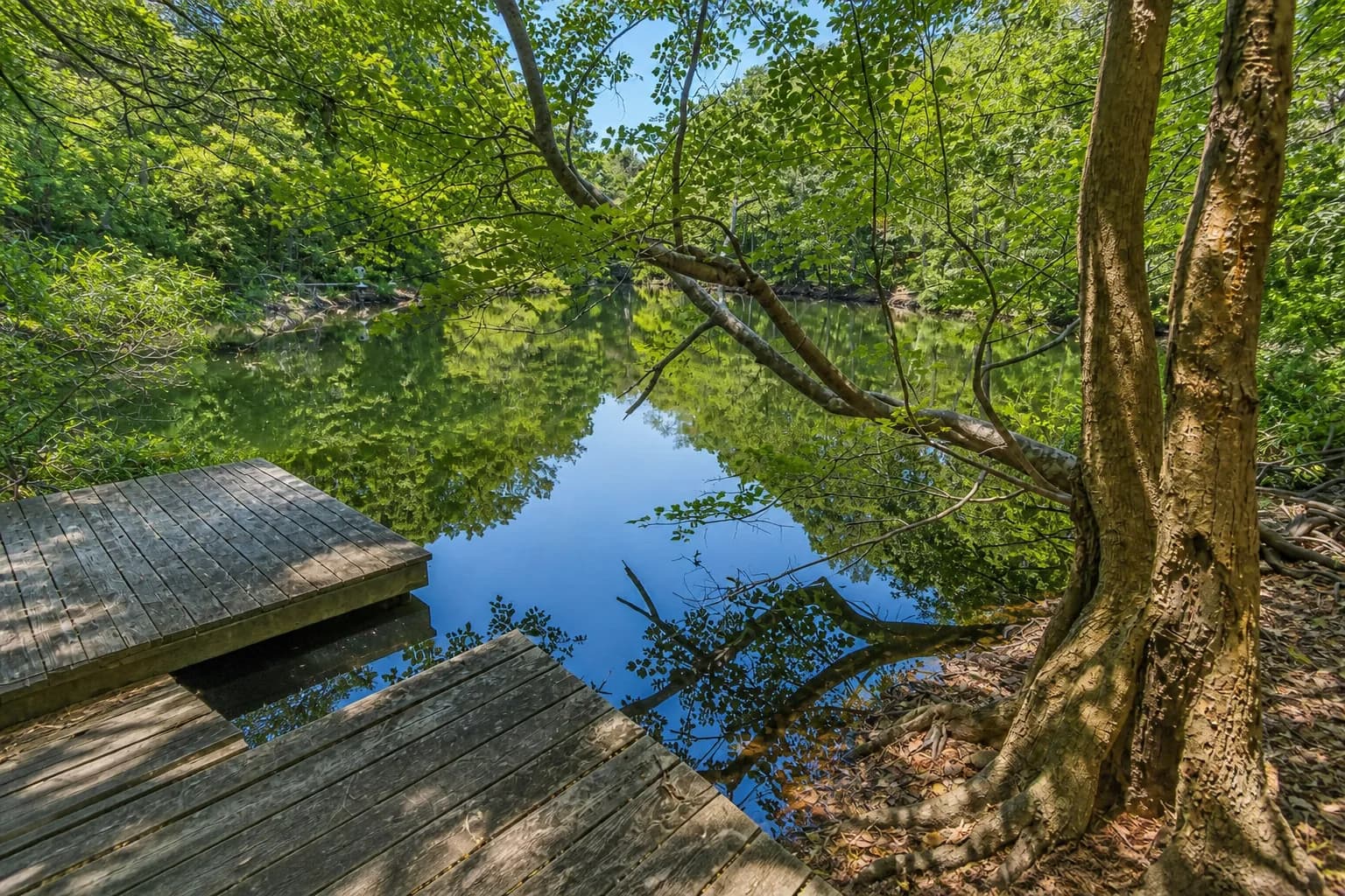 Nags Head Woods, Nags Head, North Carolina